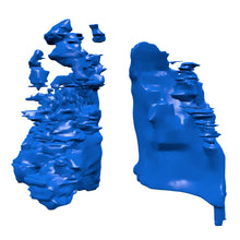 Load image into Gallery viewer, Covid Lung Model