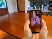 Load image into Gallery viewer, Covid Lung Model